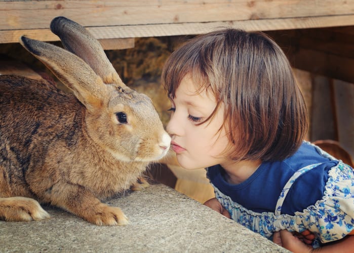 konijnen voor kinderen