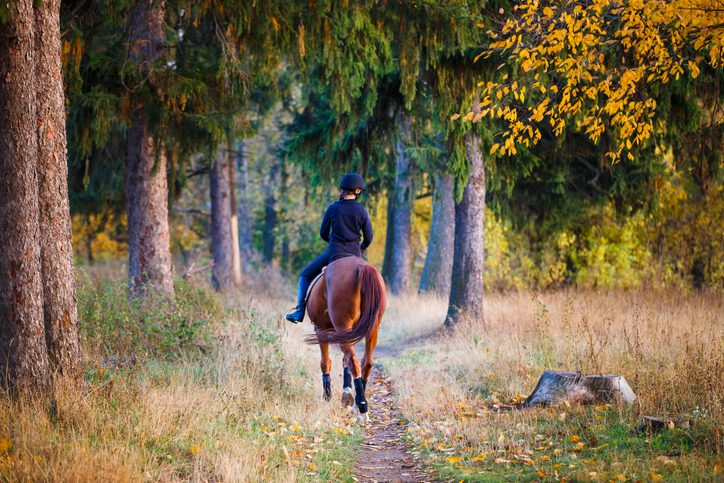 Hoe kun je je paard helpen ontspannen?