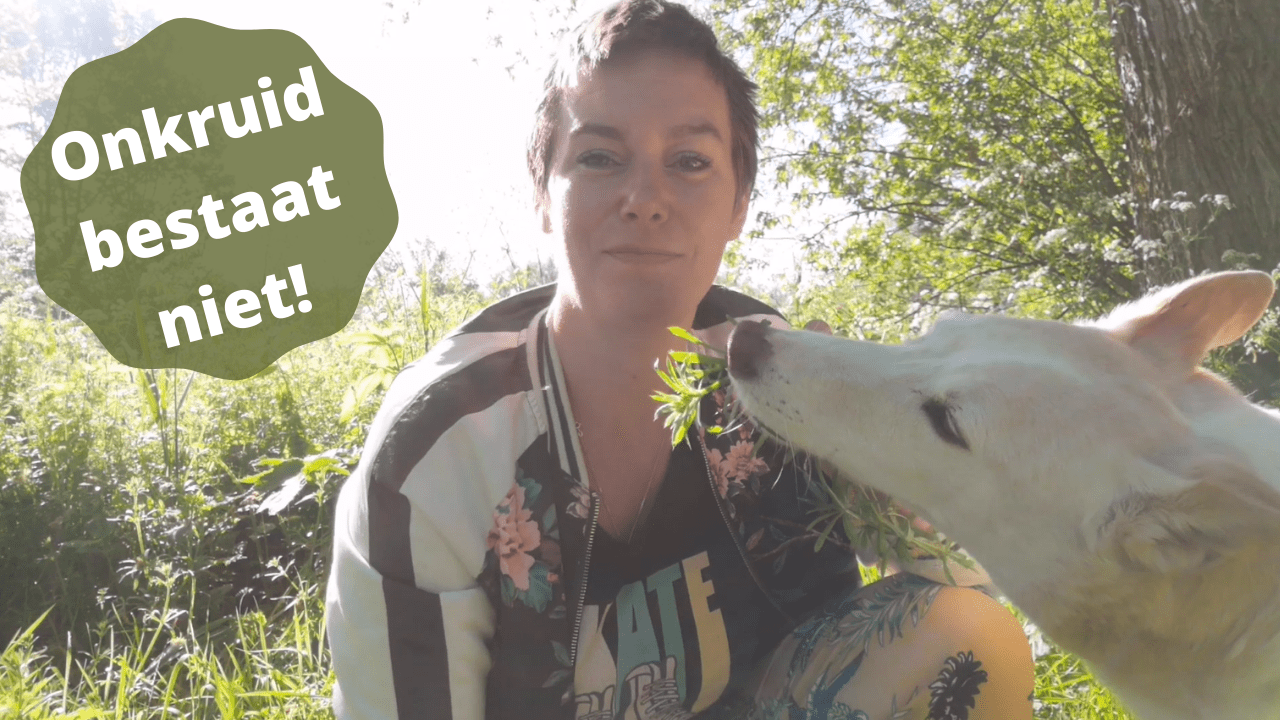 Video: Kleefkruid voor jezelf én je dier!