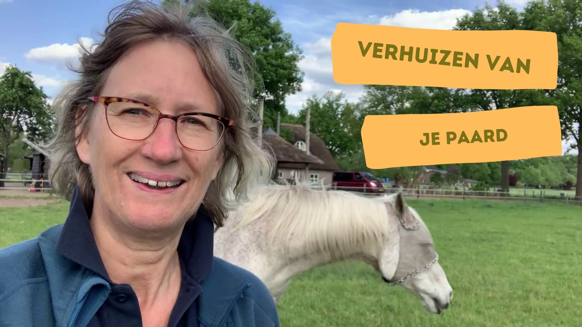 Video: Stressvrij verhuizen van je paard
