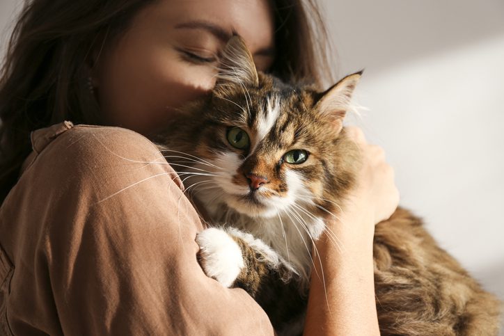 De emotionele basisbehoeftes van je kat: dit zijn ze!