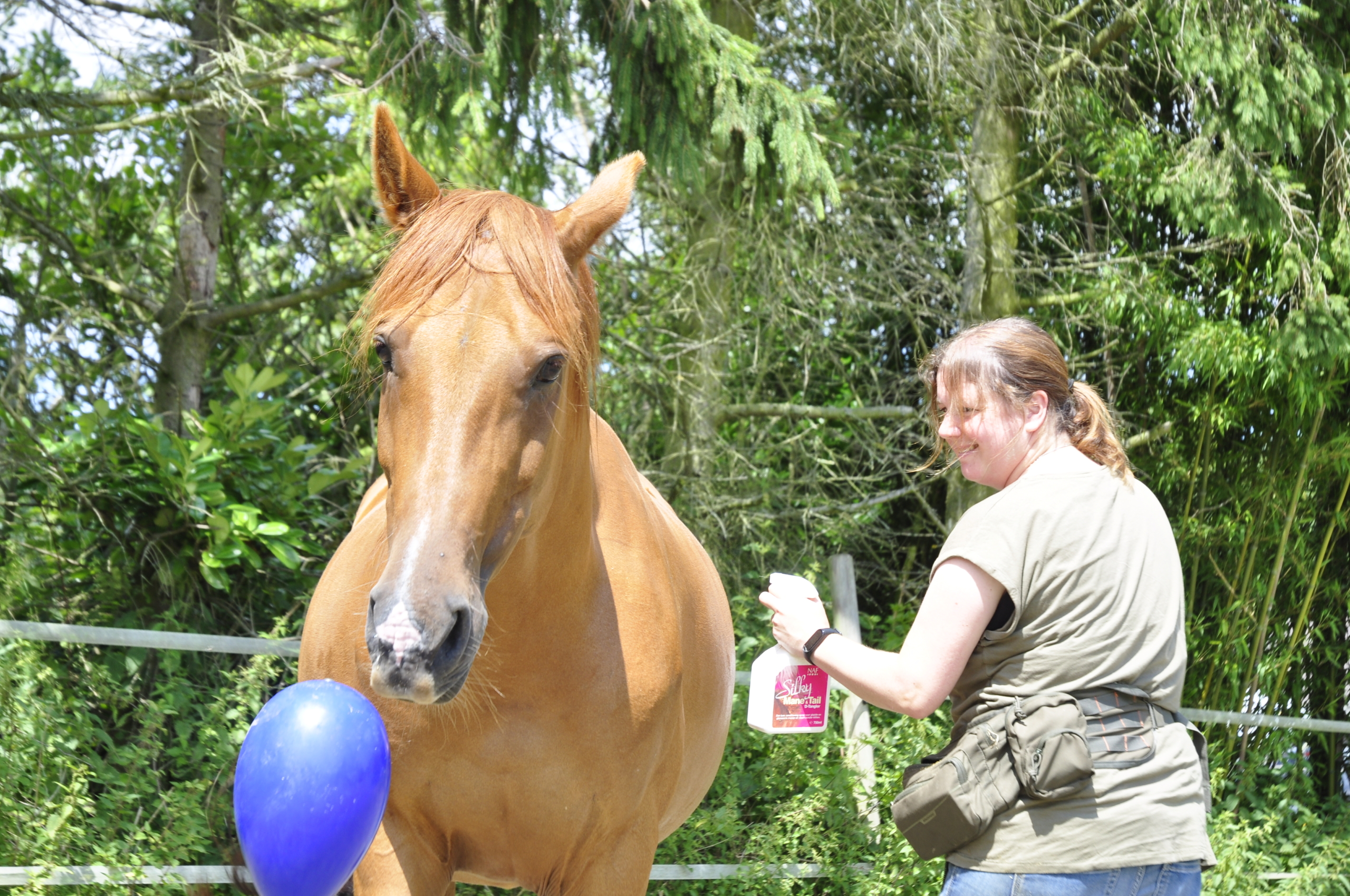 Zo kun je ontspannen en met vertrouwen medische handelingen bij je paard uitvoeren