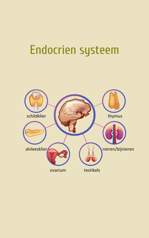 hormonen